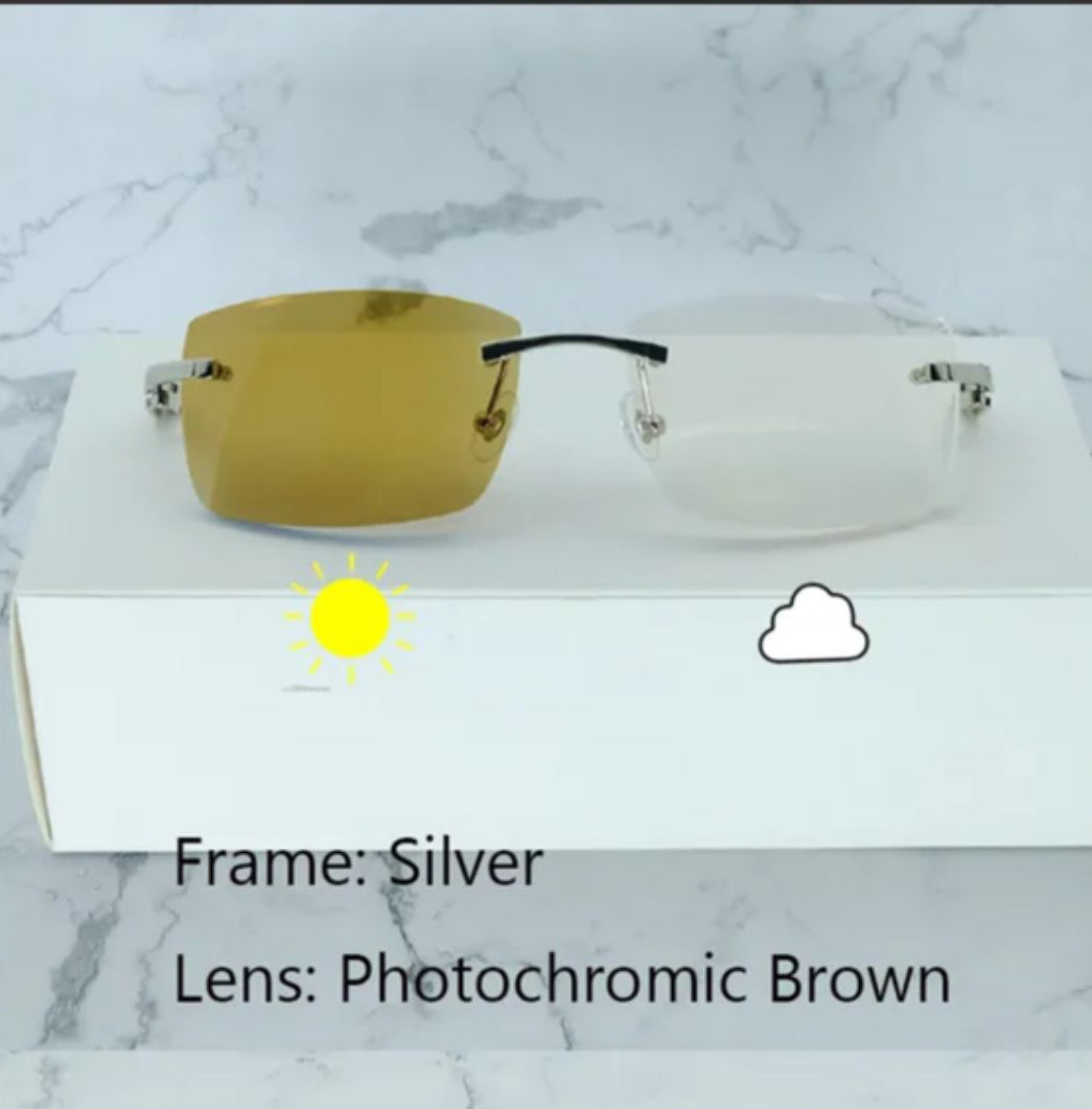 ⭐️White Buffalo Horn Glasses Silver Frame Size 56 Transitional Clear To Henny Lenses