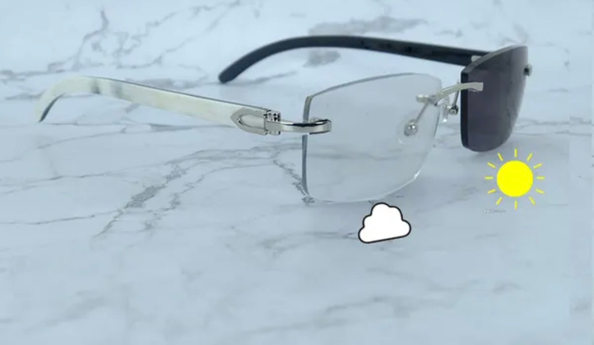 ⭐️White Buffalo Horn Glasses Silver Frame Size 56  Transitional Clear  To Black Lenses