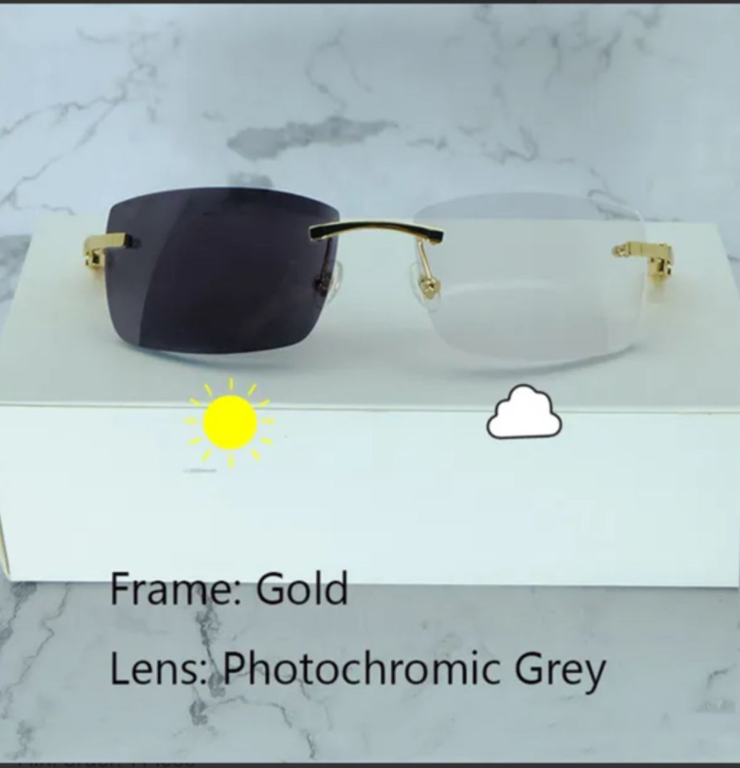 ⭐️White Buffalo Horn Glasses Gold Frame Size 56  Transitional Clear  To Black Lenses