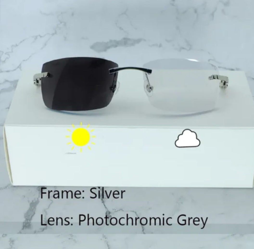 ⭐️White Buffalo Horn Glasses Silver Frame Size 56  Transitional Clear  To Black Lenses